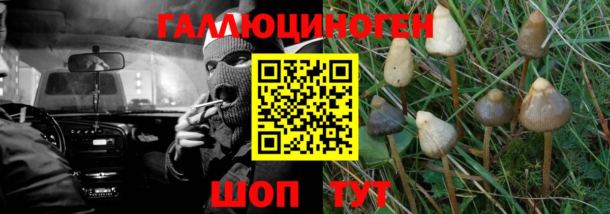 Галлюциногенные грибы GOLDEN TEACHER Азнакаево